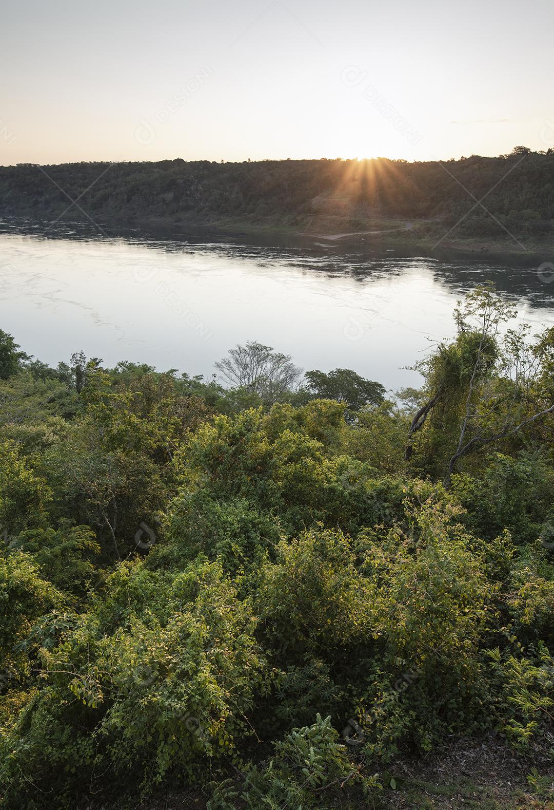 Rio e floresta durante o pôr do sol