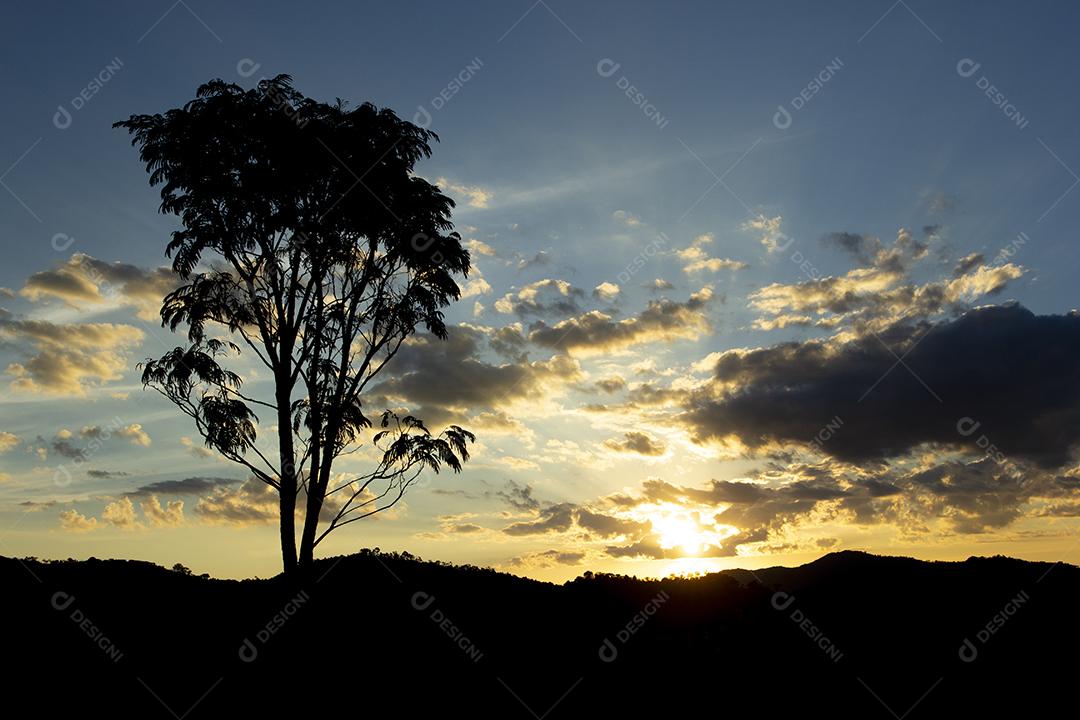 Pôr do sol com silhueta de árvores com céu nubloso