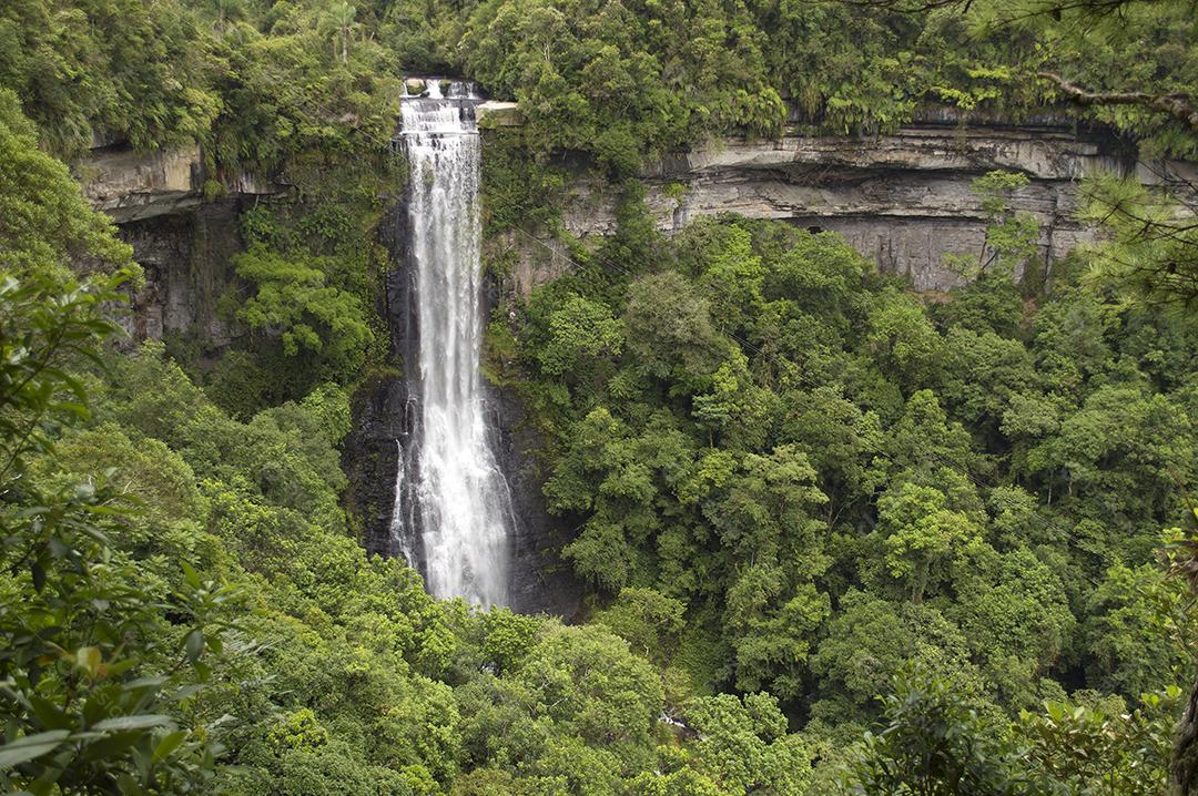 Cachoeira em floresta verde descendo sobre pedreira