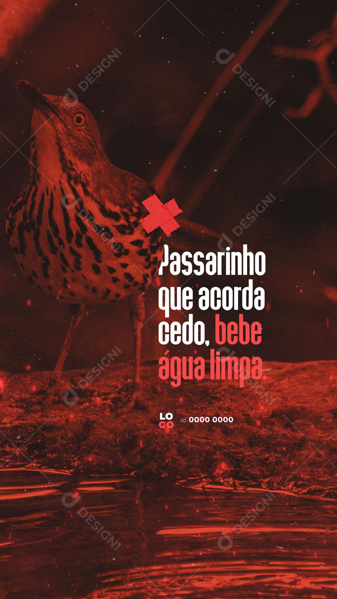 Social Media Frase Motivacional Passarinho Que Acorda Cedo, Bebe Água Limpa PSD Editável