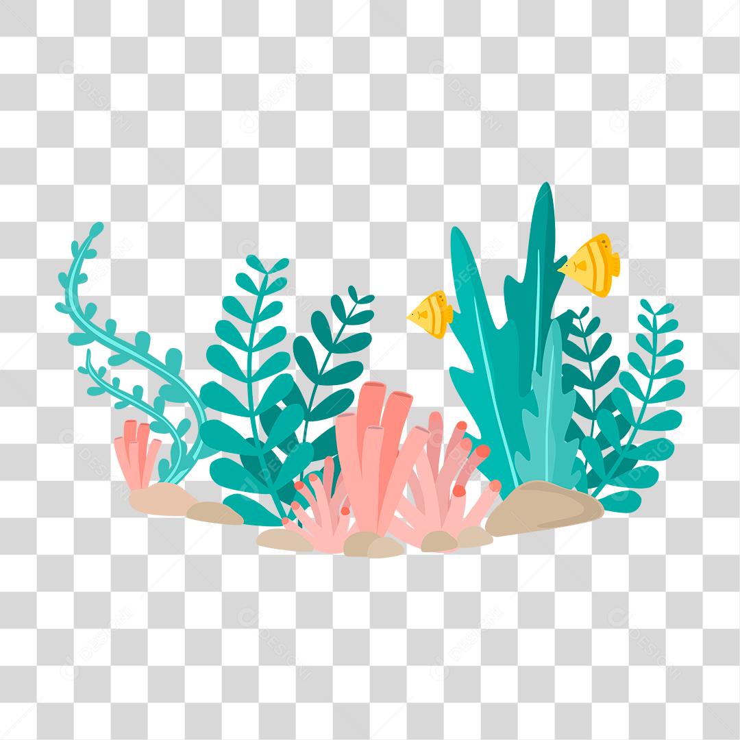 Desenho de algas marinhas