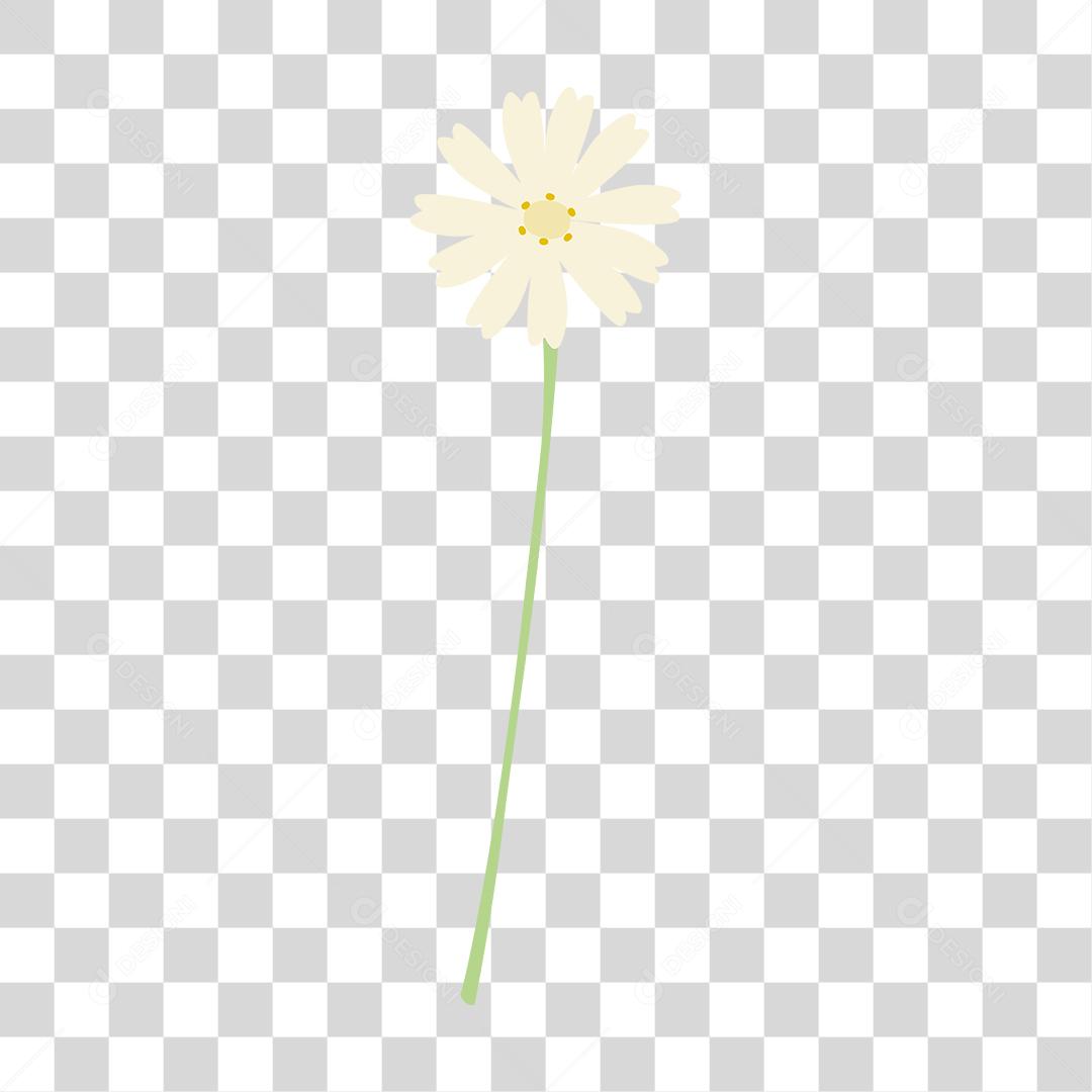 Desenho de flor branca