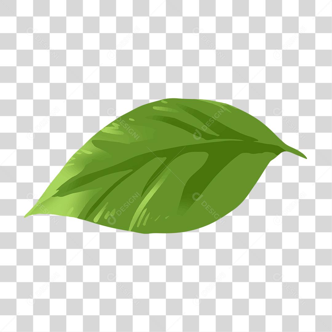 Desenho de folha verde