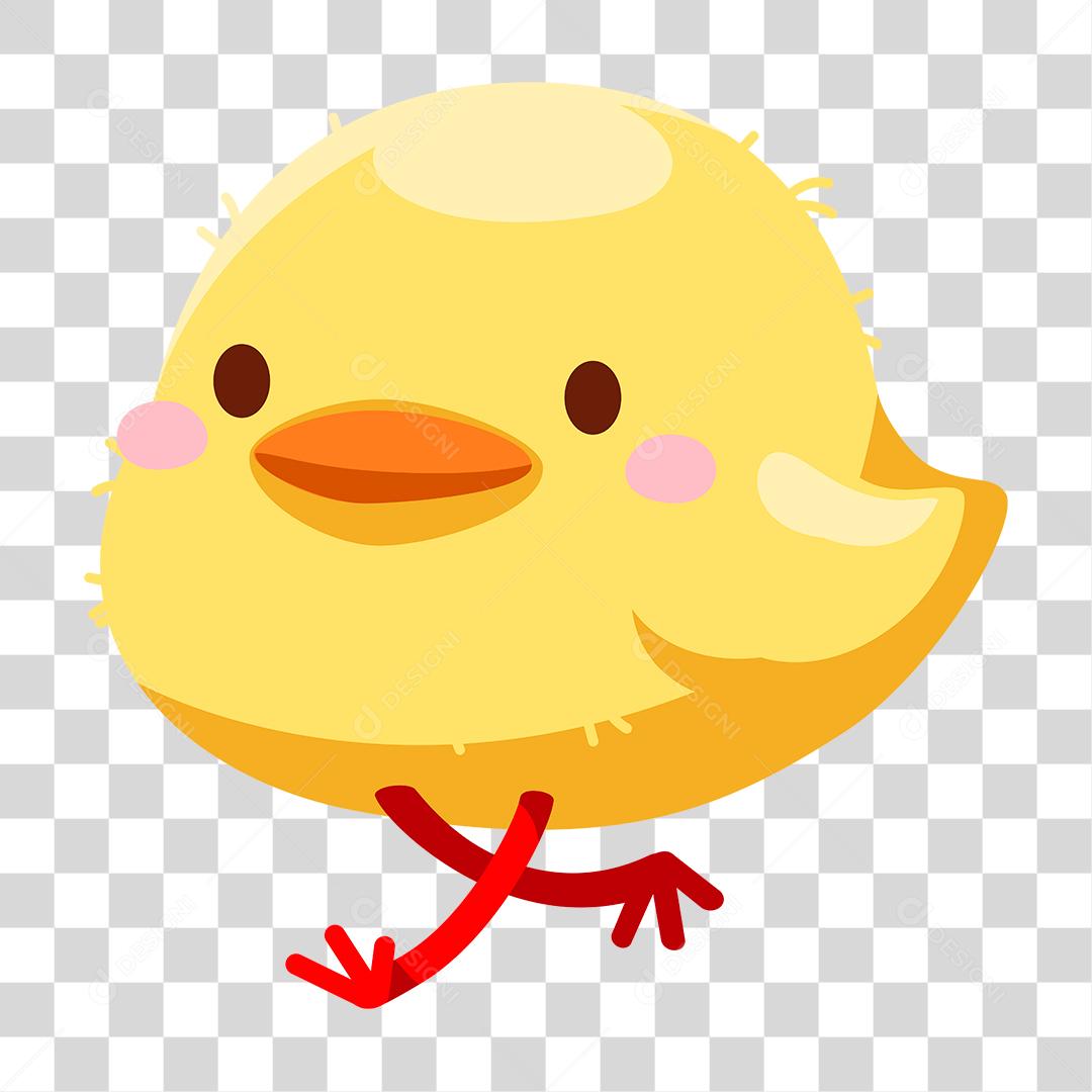 Desenho de pinto animal galinha