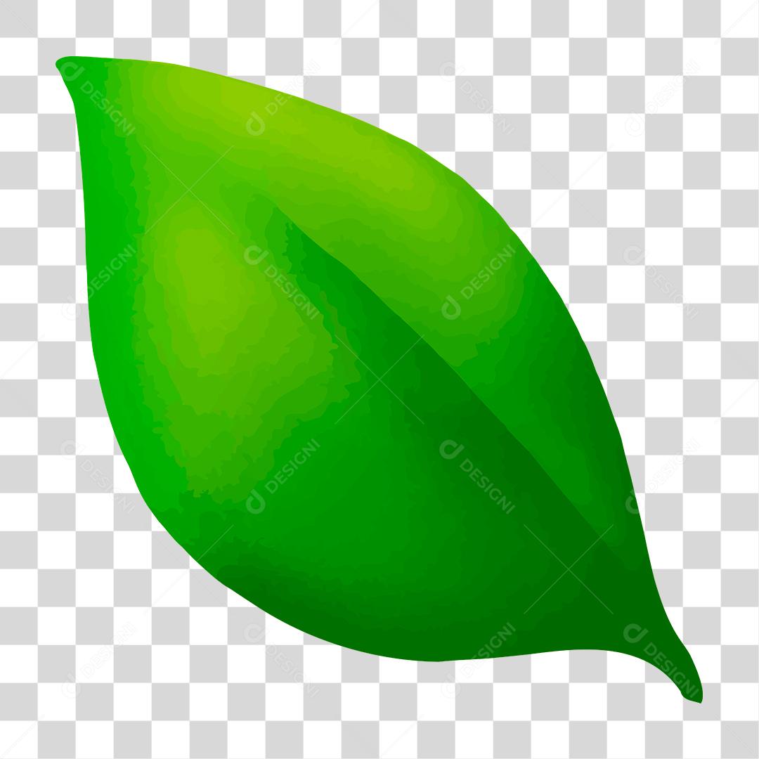 Desenho de uma folha verde