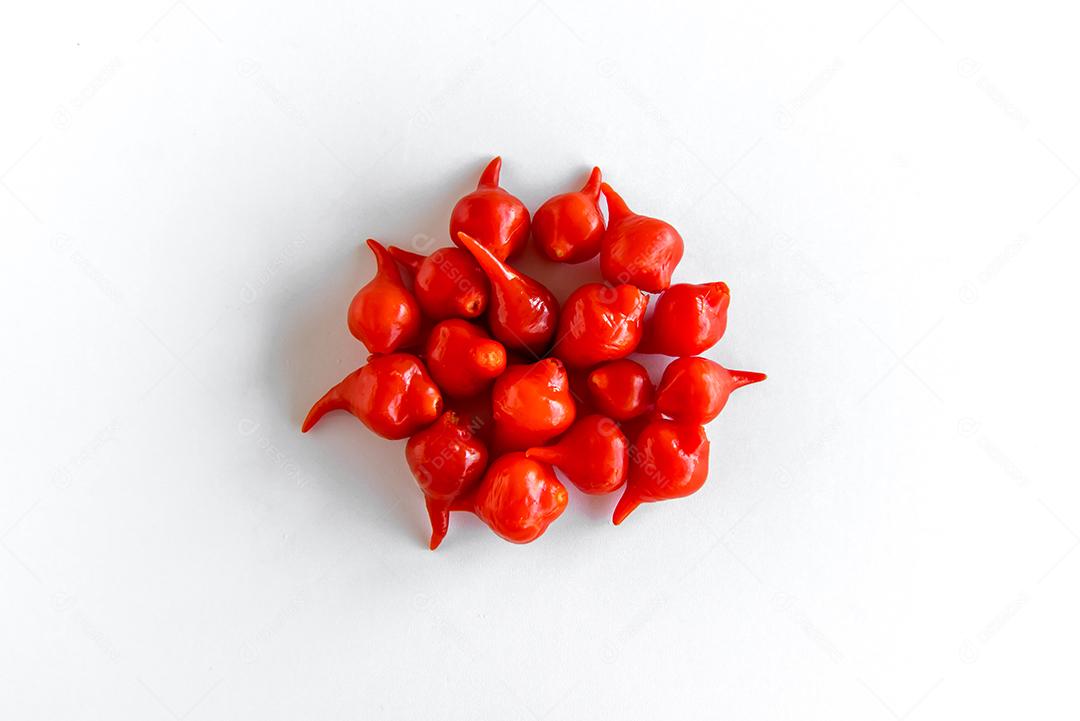 Pimenta Biquinho, Pimentão Brasileiro, Capsicum Chinense isolado