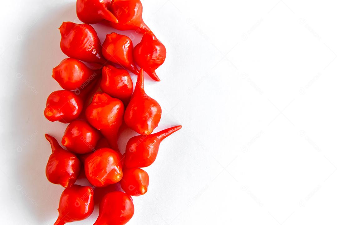 Pimenta Biquinho, Pimentão Brasileiro, Capsicum Chinense