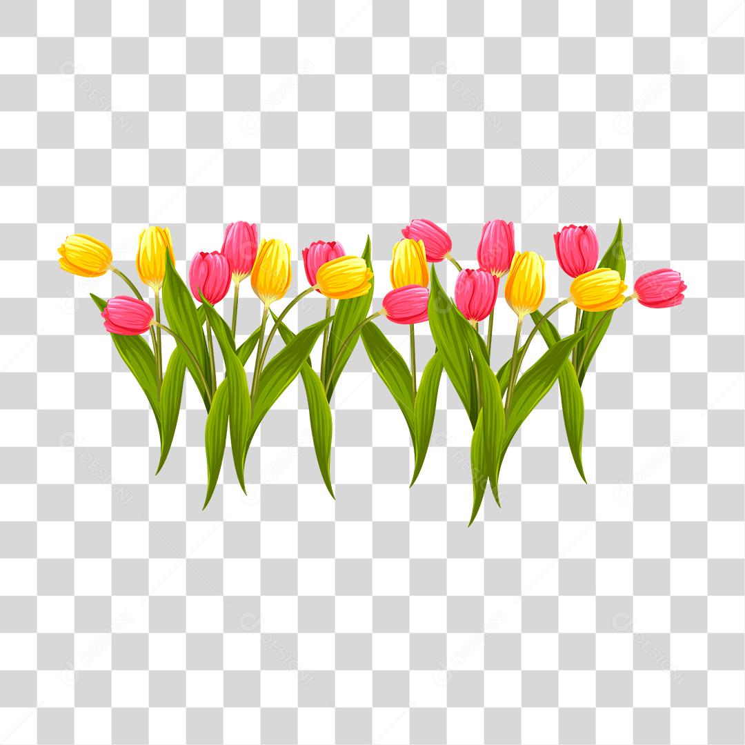 Desenho de planta muda