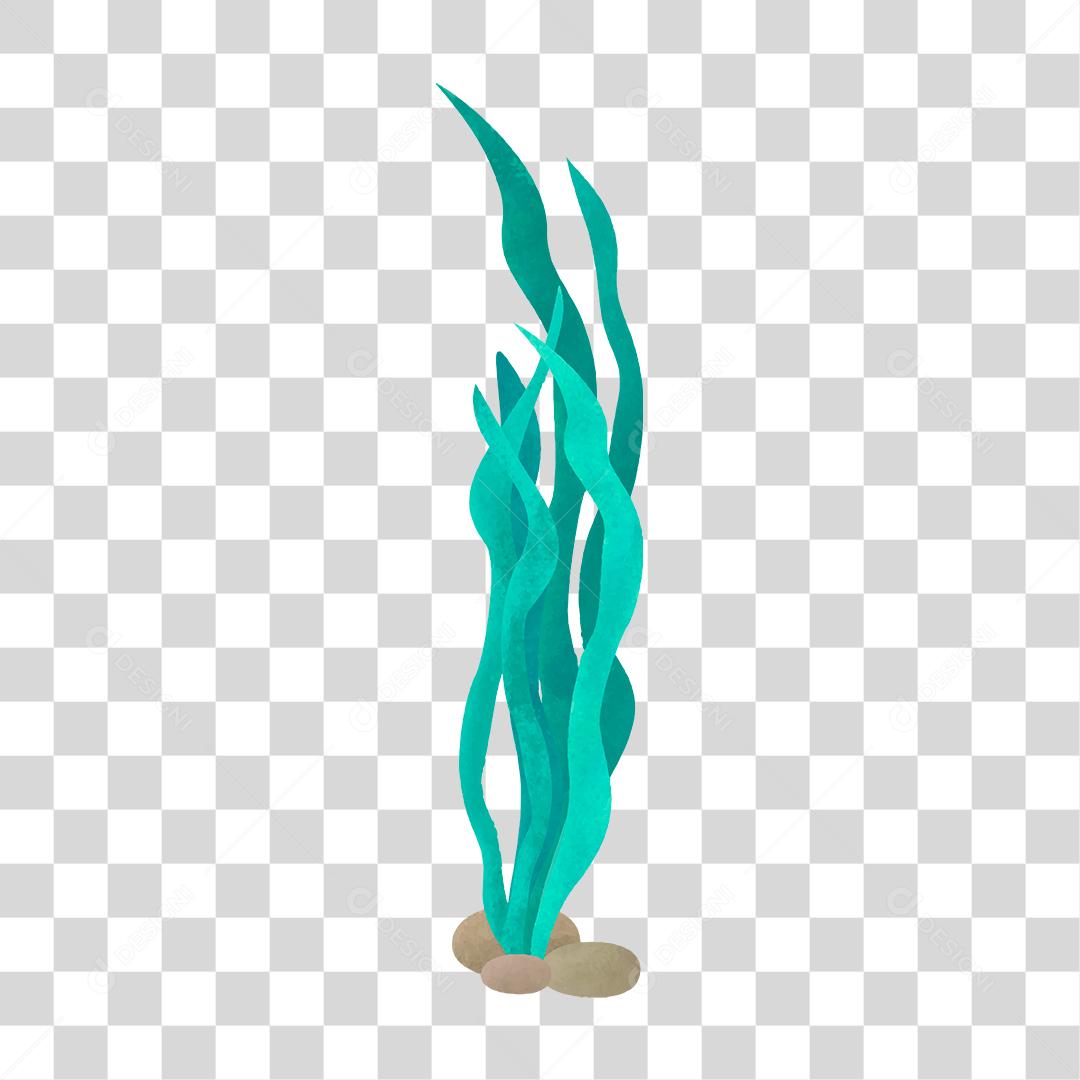 Desenho de planta muda