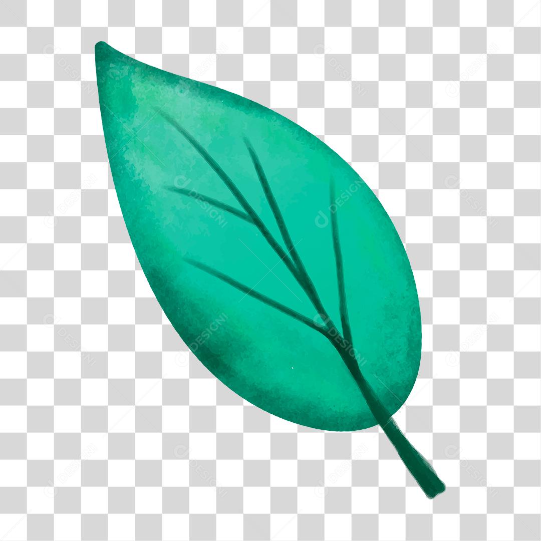 Desenho de folhas verdes