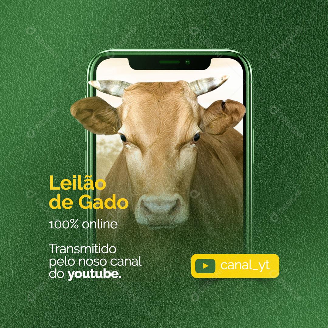 Post Leilão de Gado Transmitido Pelo Nosso Canal no Youtube Social Media PSD Editável