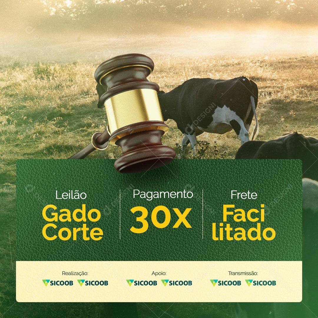 Leilão de Gado de Corte Pagamento em 30x Social Media PSD Editável