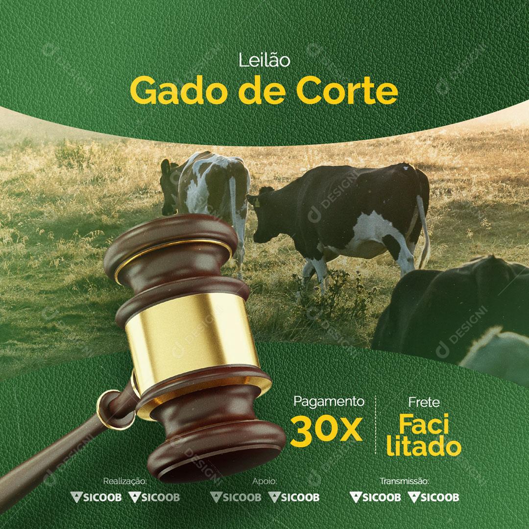Leilão de Gado de Corte Pagamento em 30x Social Media PSD Editável
