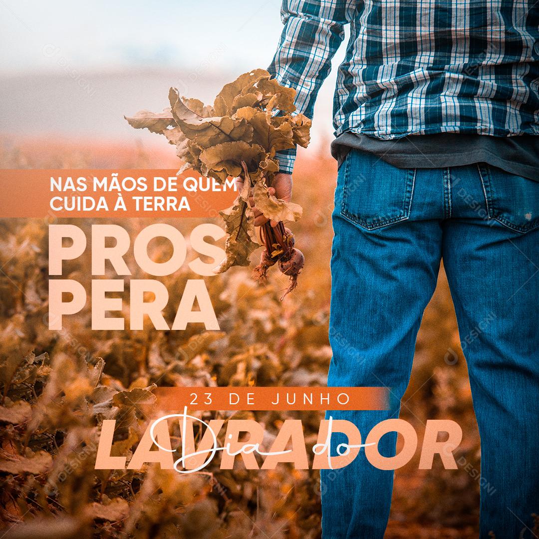 Dia Do Lavrador 23 De Junho Social Media PSD Editável