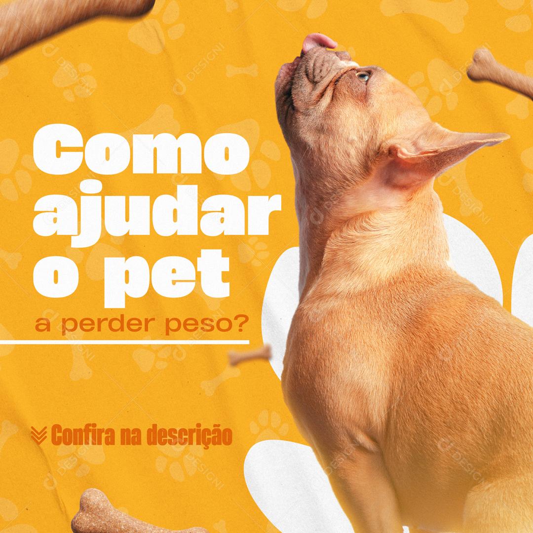 Como Ajudar O Pet e Perder Peso Social Media PSD Editável
