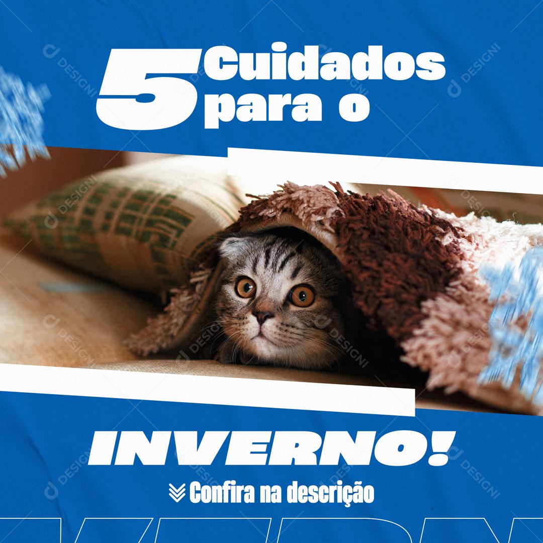 Os 5 Cuidados Para o Inverno Confira Na Descrição Social Media PSD Editável