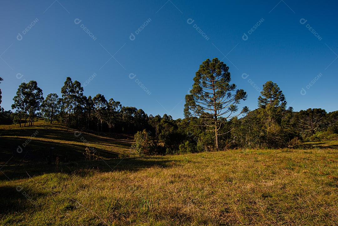 Amanhecer na bela paisagem das montanhas de Santa Catar