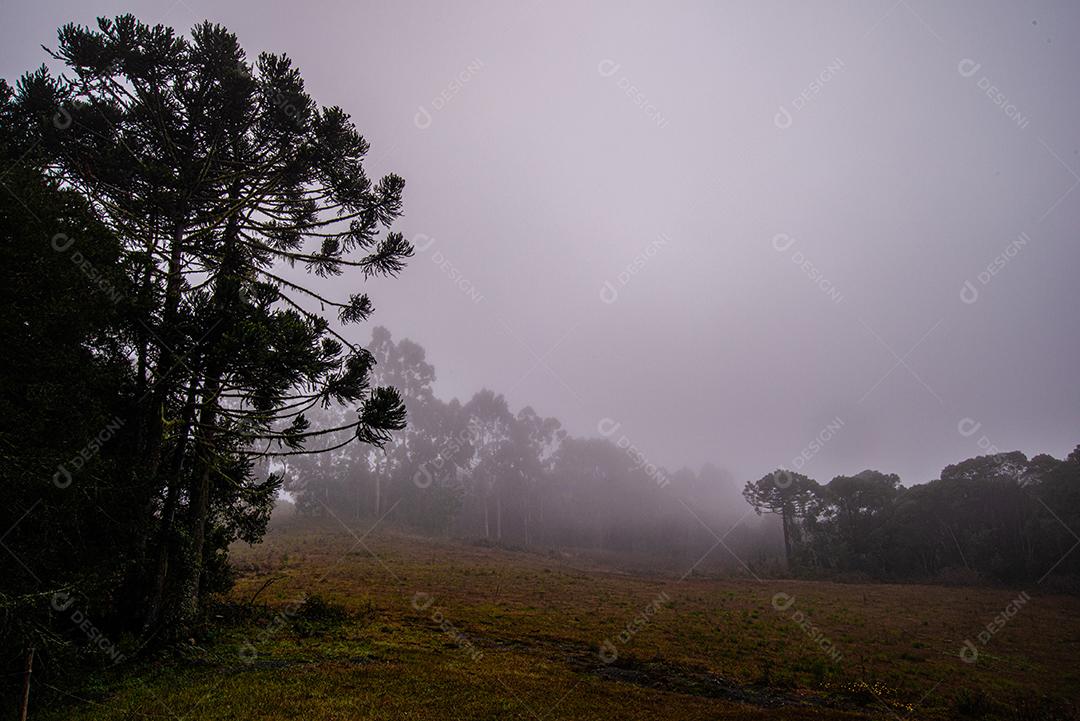 Amanhecer na bela paisagem das montanhas de Santa Catar