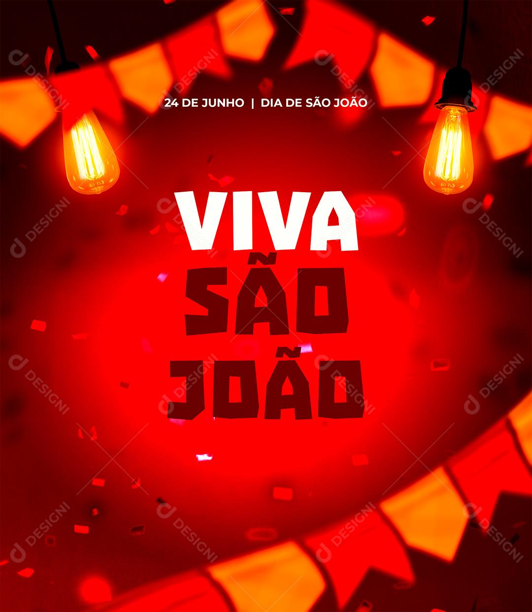 Viva São João 24 de Junho Social Media PSD Editável