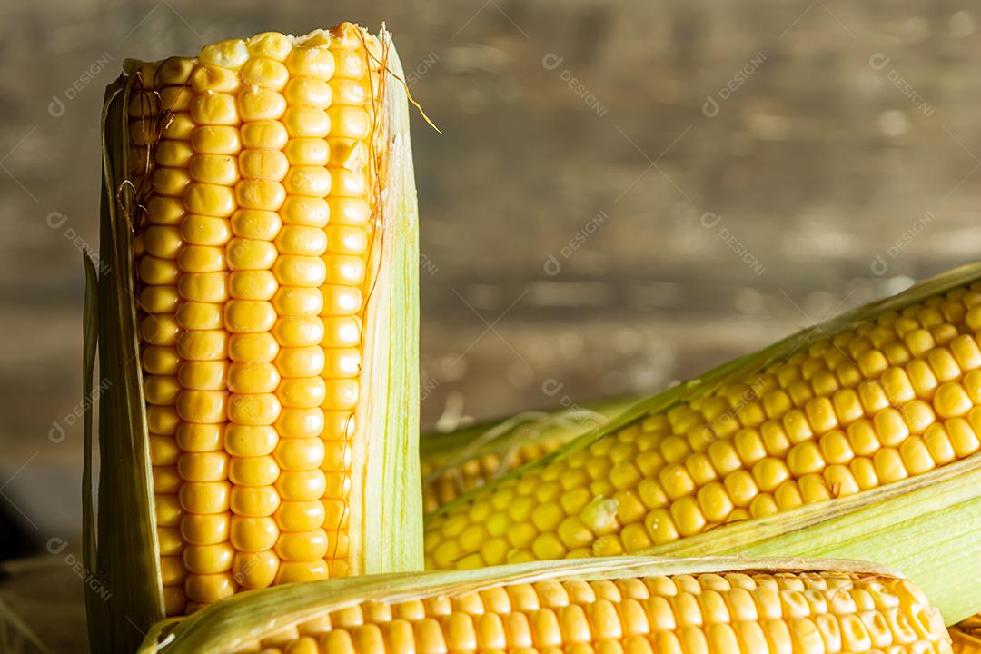 delicioso milho amarelo cru com folha verde e espiga, sobre canudos secos e superfície de madeira