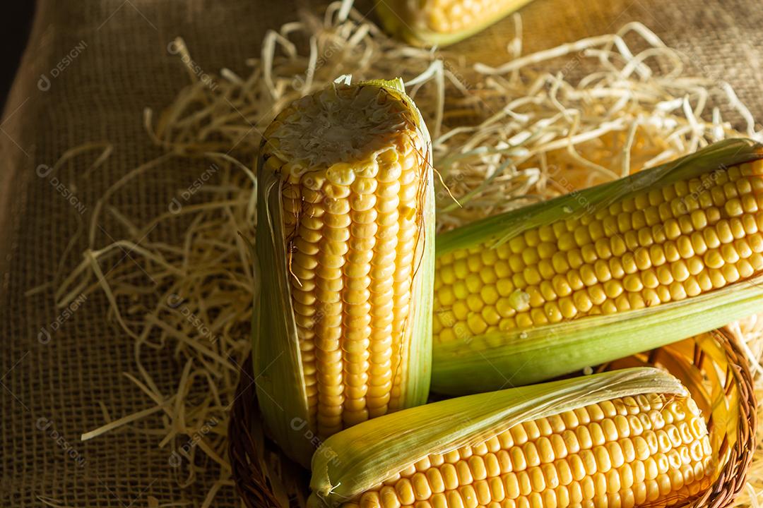 delicioso milho amarelo cru com folha verde e espiga, sobre canudos secos e superfície de madeira