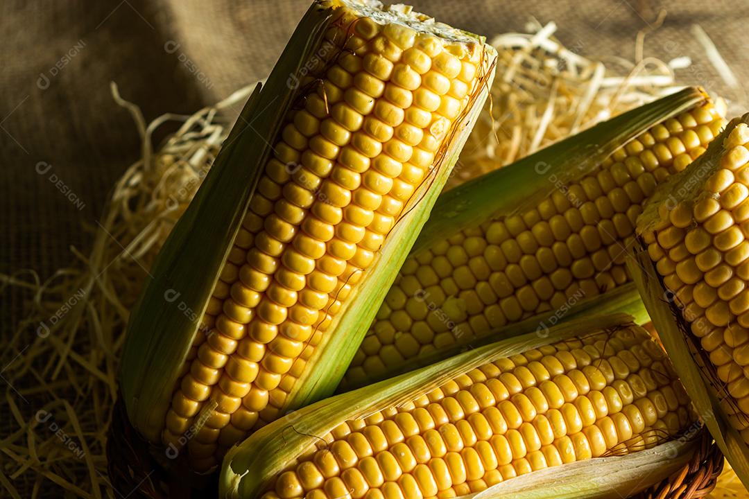 delicioso milho amarelo cru com folha verde e espiga, sobre canudos secos e superfície de madeira