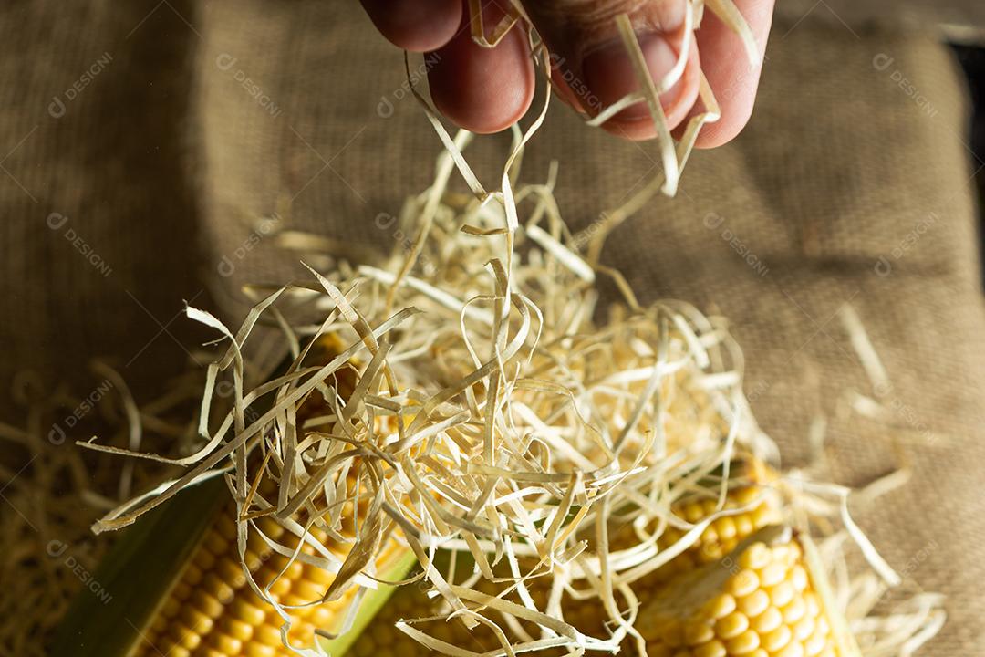 mão espalhando palha com calos turva no fundo