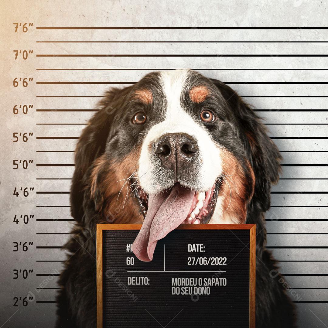 Pet Shop e Veterinário Mordeu o Sapato do Dono! Social Media PSD Editável