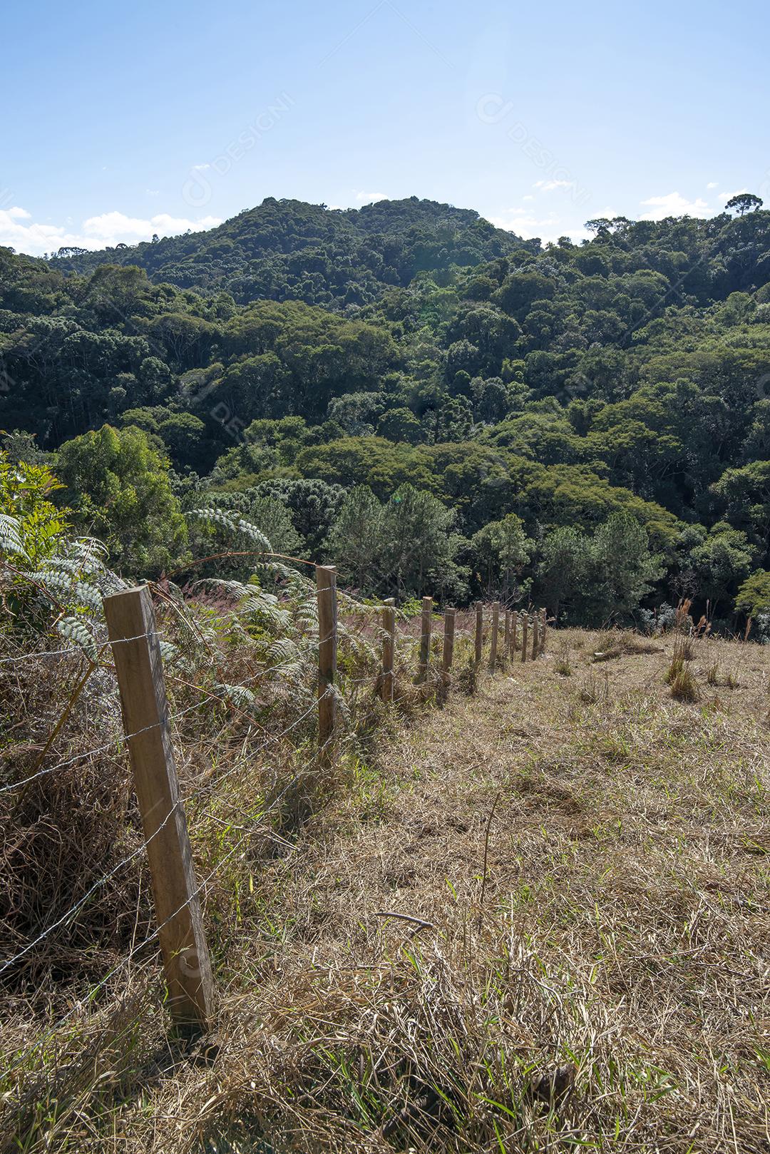 Cerca de arame velha através de uma colina perto de uma floresta.