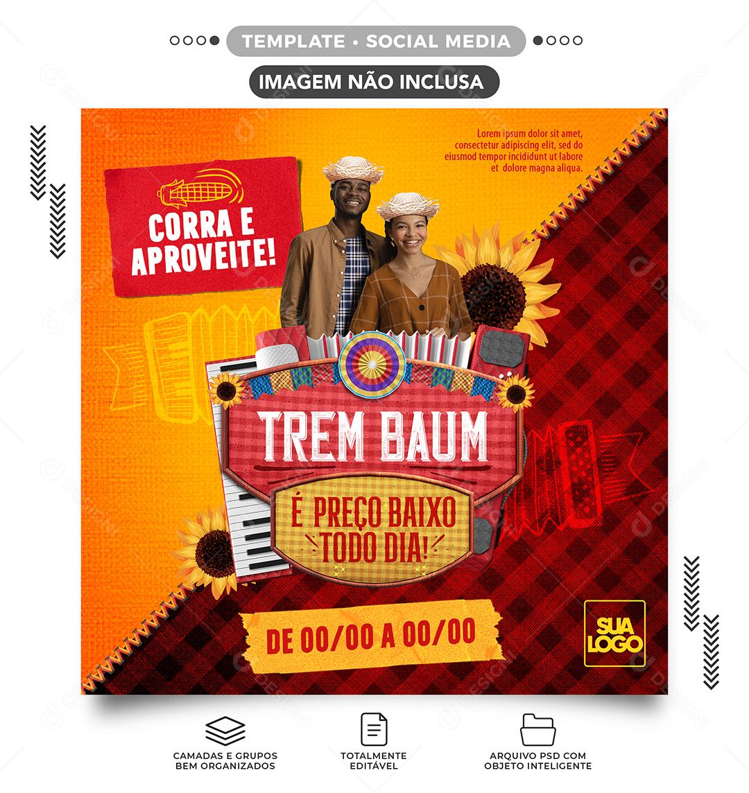 Social Media Trem Baum é Preço Baixo todo Dia São João PSD Editável