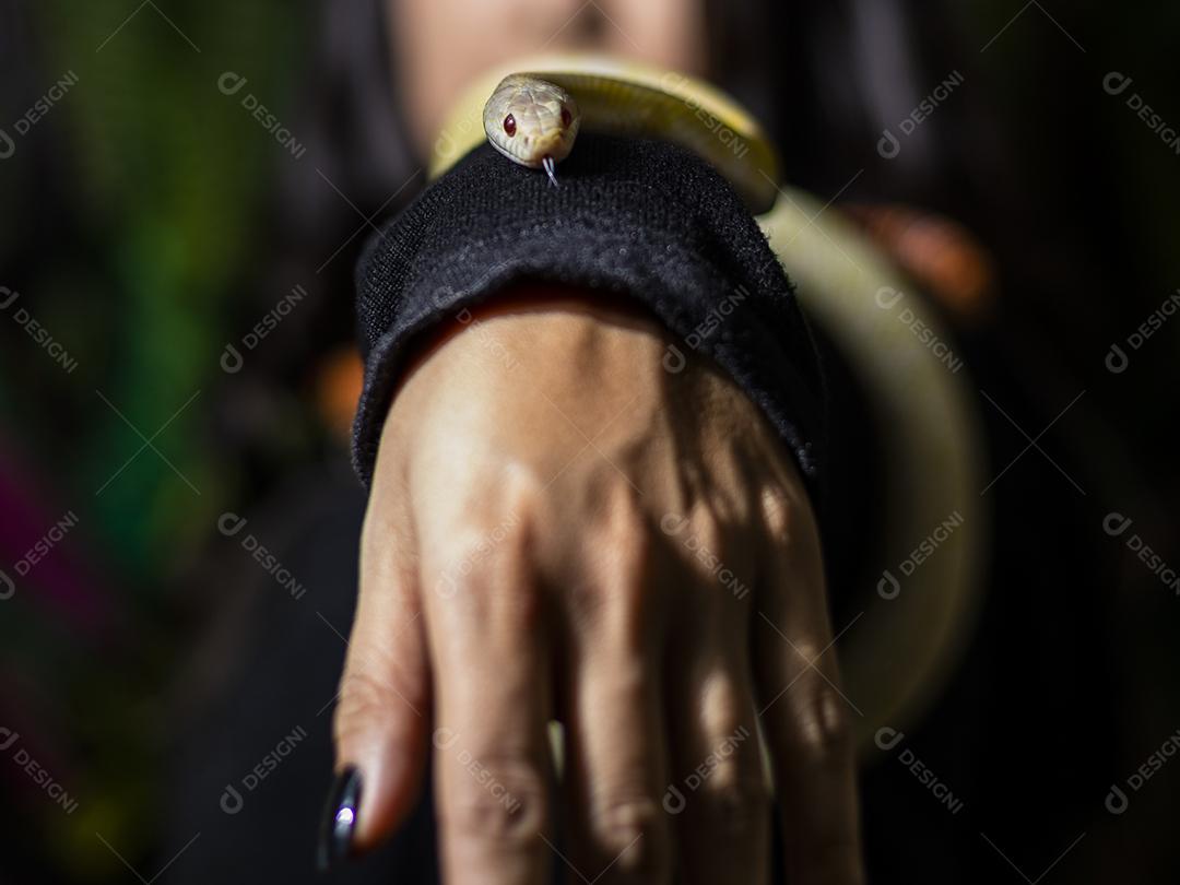 Cobra no braço de um modelo.