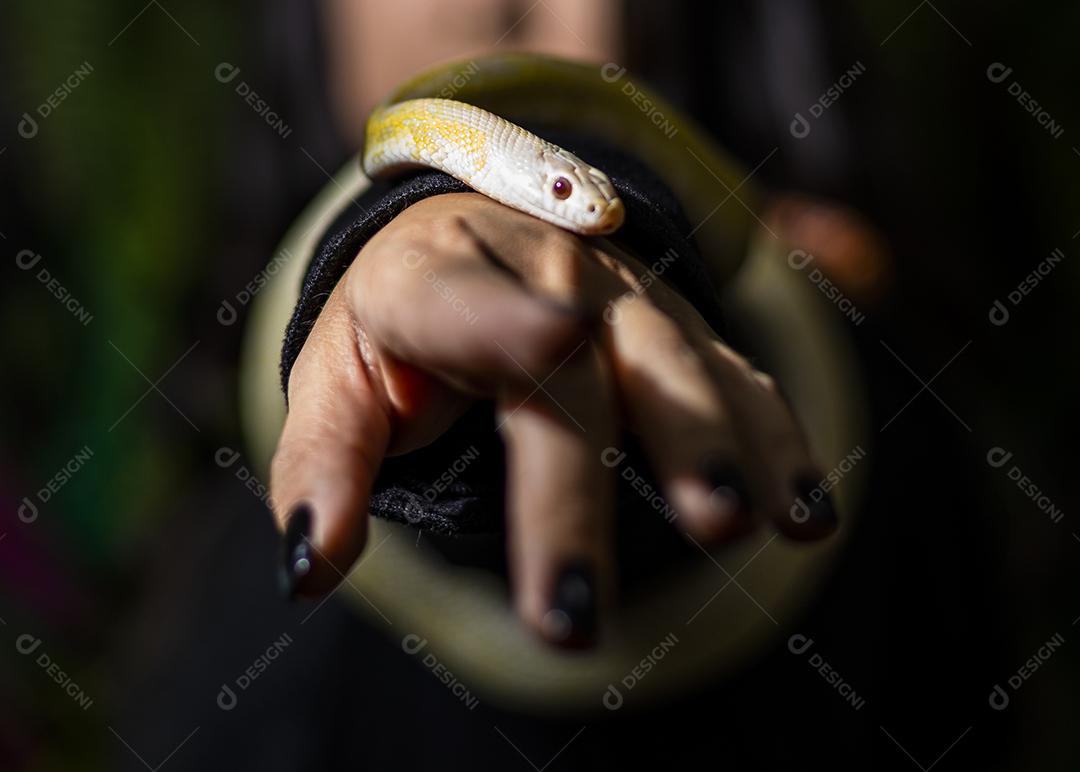Cobra no braço de um modelo.
