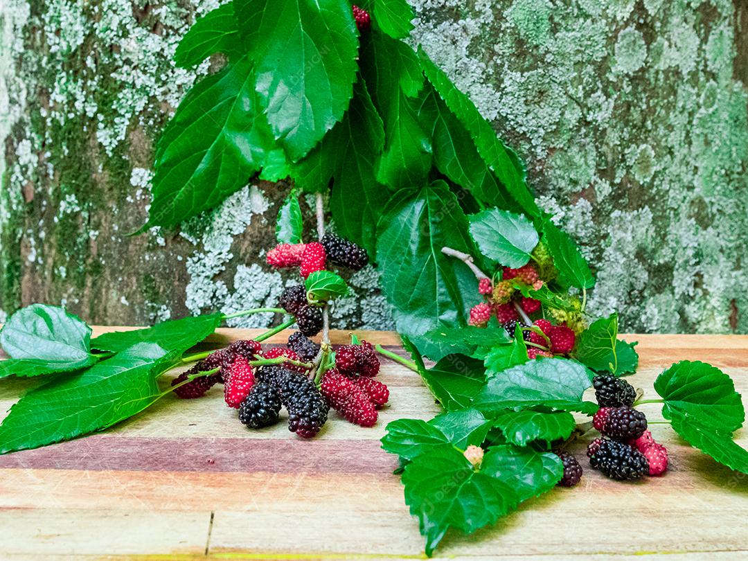 Comida fruta amora folhas verdes