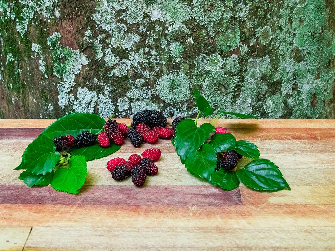 Comida fruta amora folhas verdes