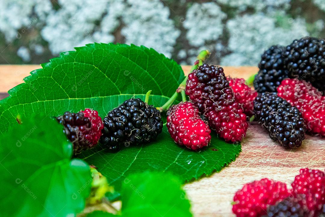 Comida fruta amora folhas verdes