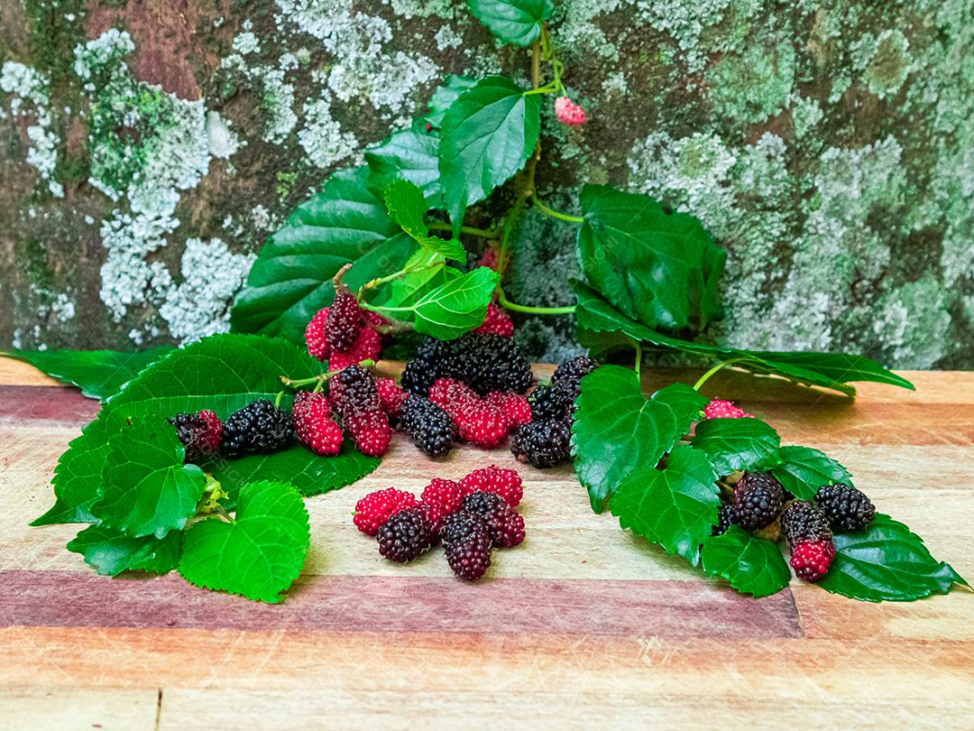 Comida fruta amora folhas verdes