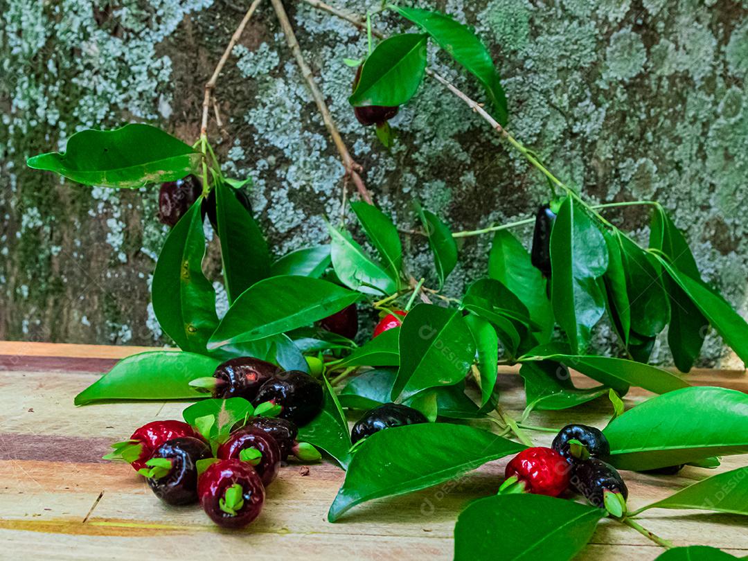 Fruta muda de cereja mesa madeira folha verde galhos