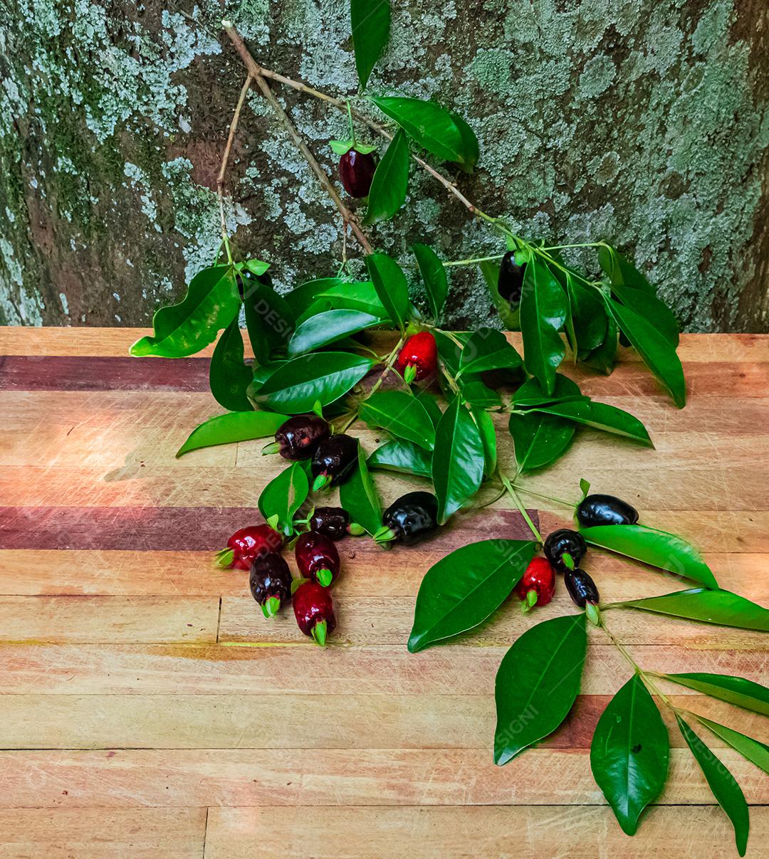 Fruta muda de cereja mesa madeira folha verde galhos