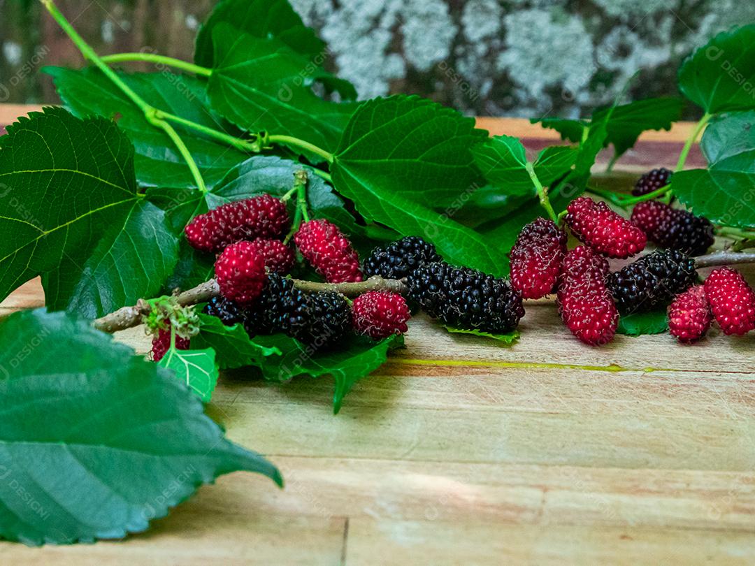 Comida fruta amora folhas verdes