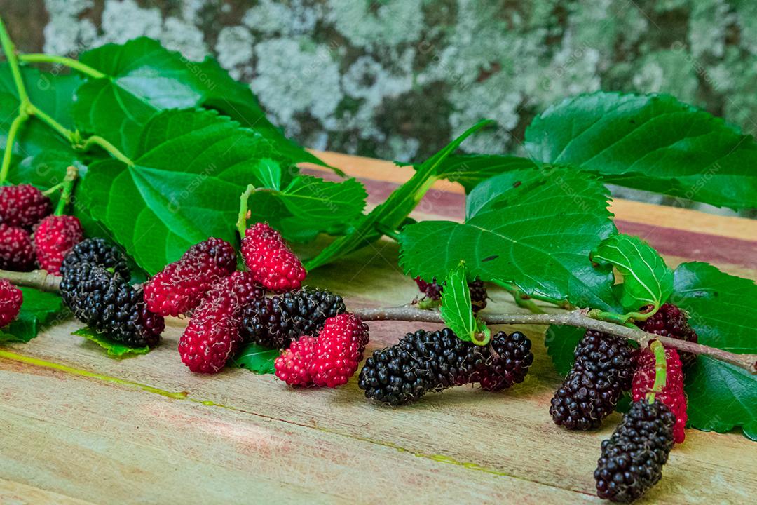 Comida fruta amora folhas verdes