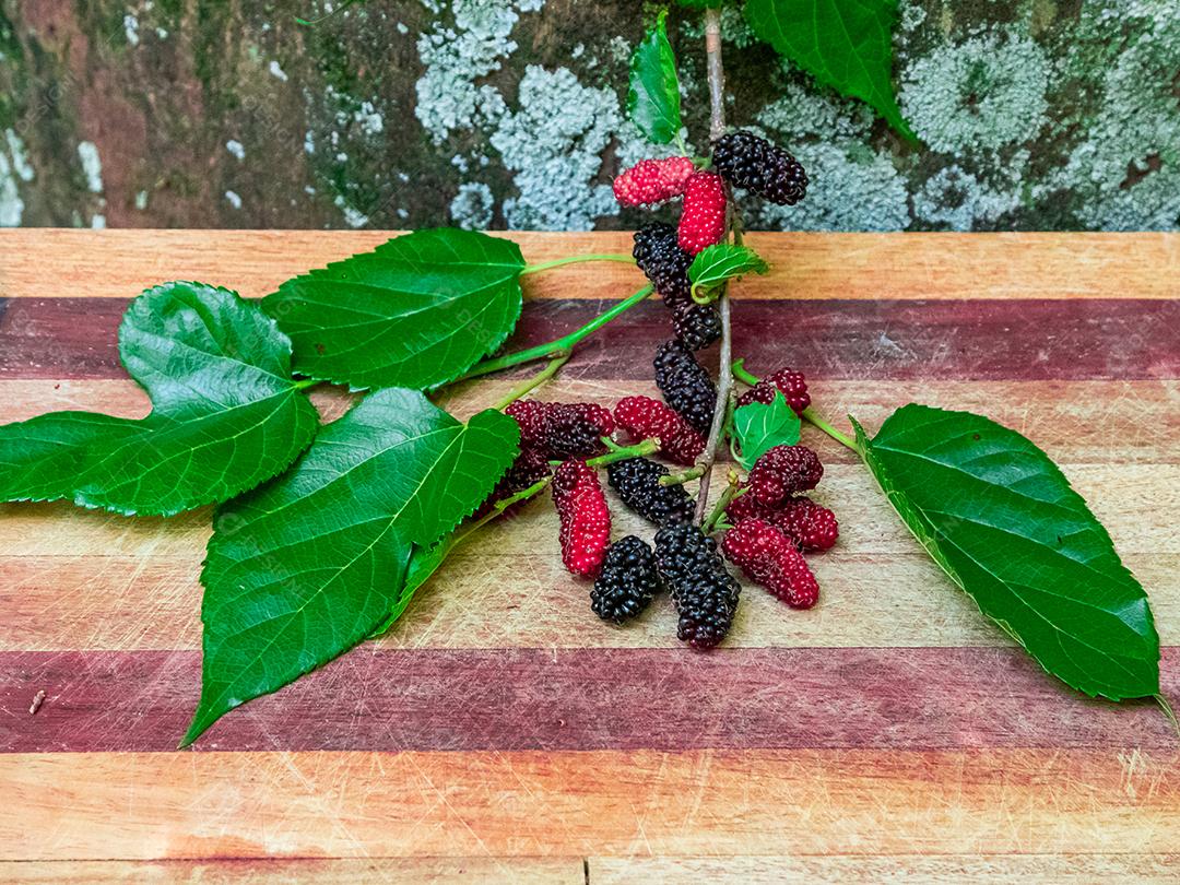 Comida fruta amora folhas verdes