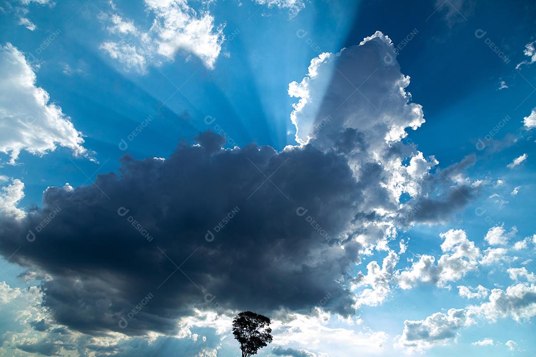 Paisagem ceu nublado preparando chuva floresta