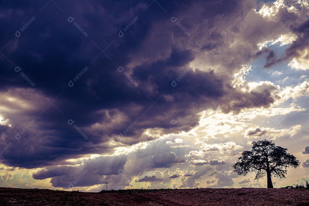 Paisagem ceu nublado preparando chuva floresta