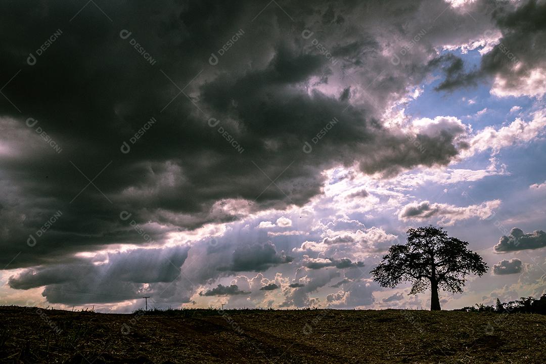 Paisagem ceu nublado preparando chuva floresta