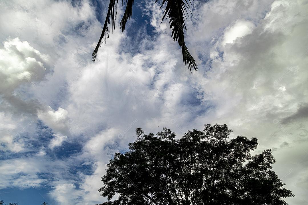 Paisagem céu nublado sobre um lindo campo arvore