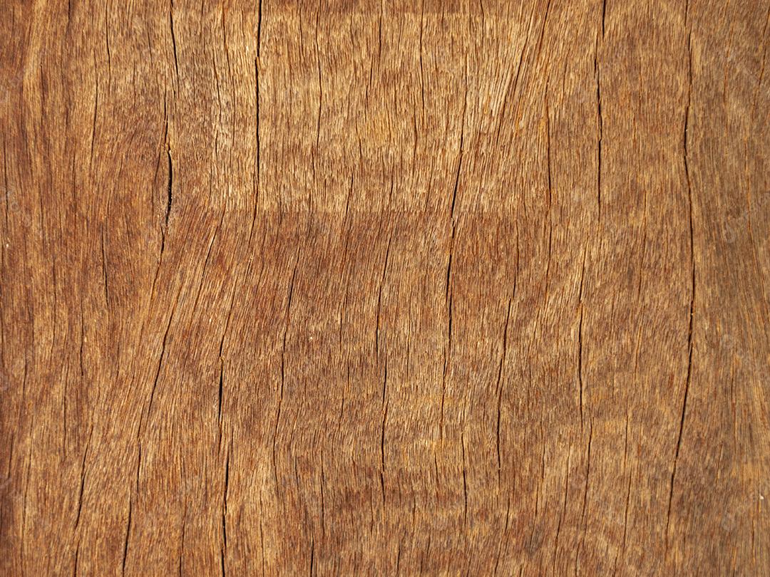 Textura de madeira tronco