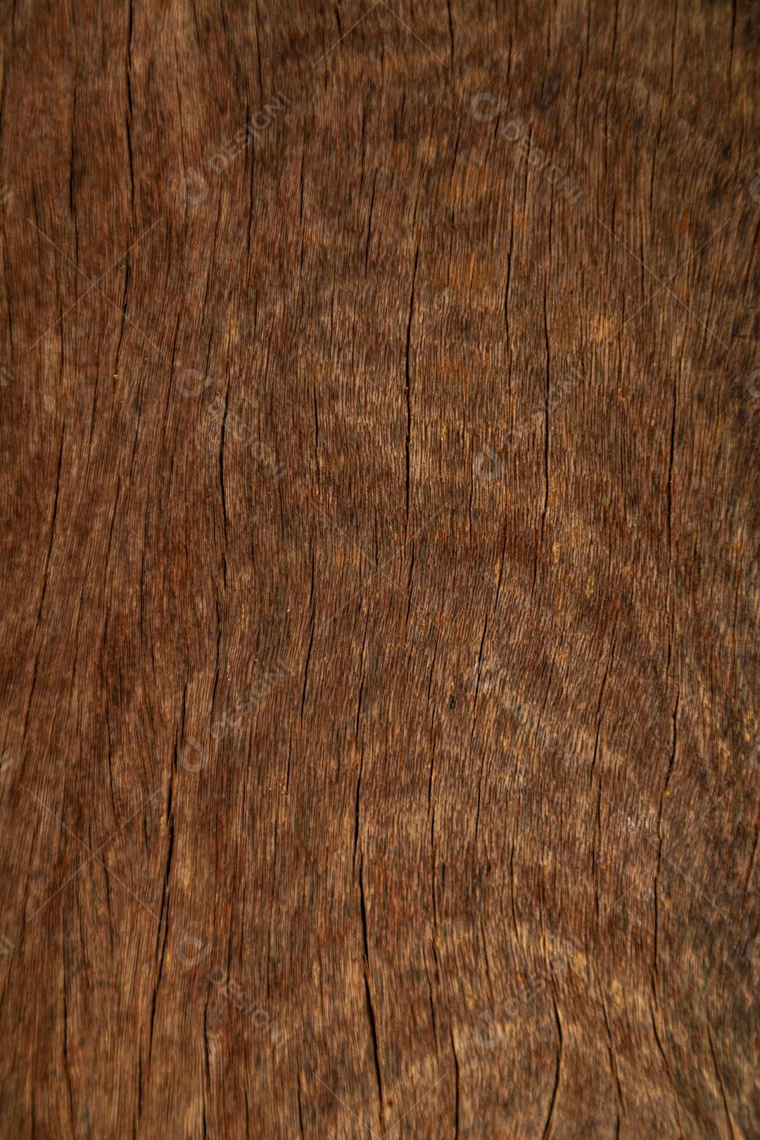 Textura mesa madeira tabua arvore pau