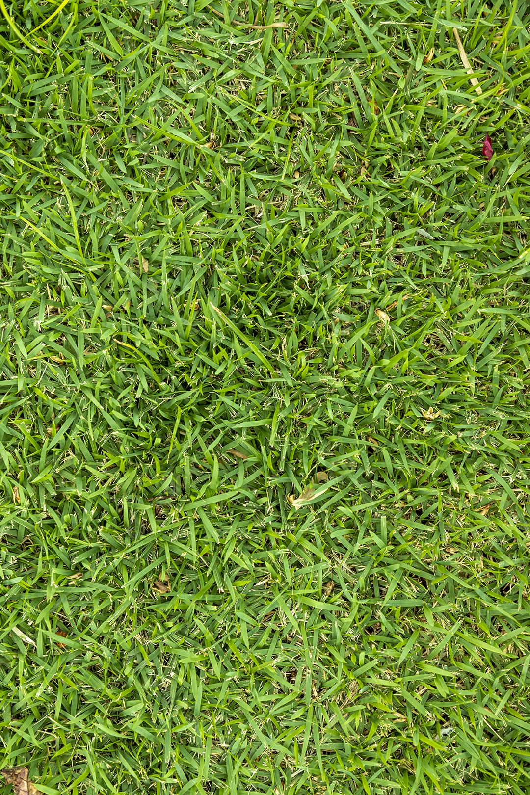 Textura de grama sintetica campo de futebol