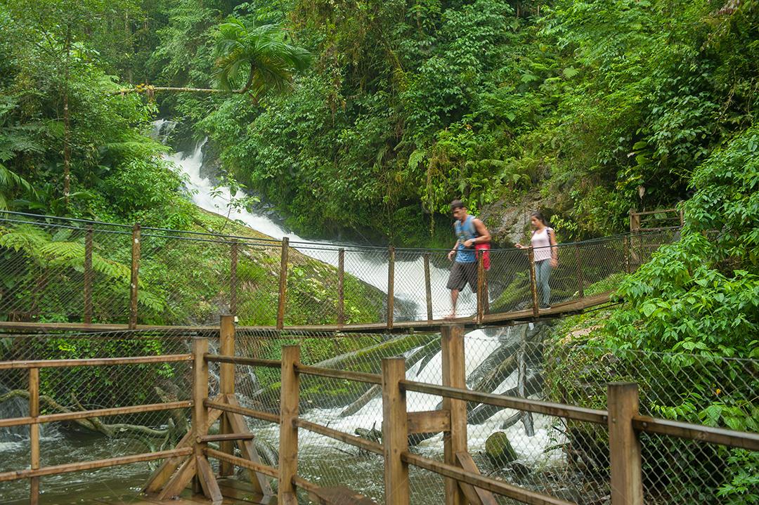 Paisagens de uma cachoeira rodeado de mata verde