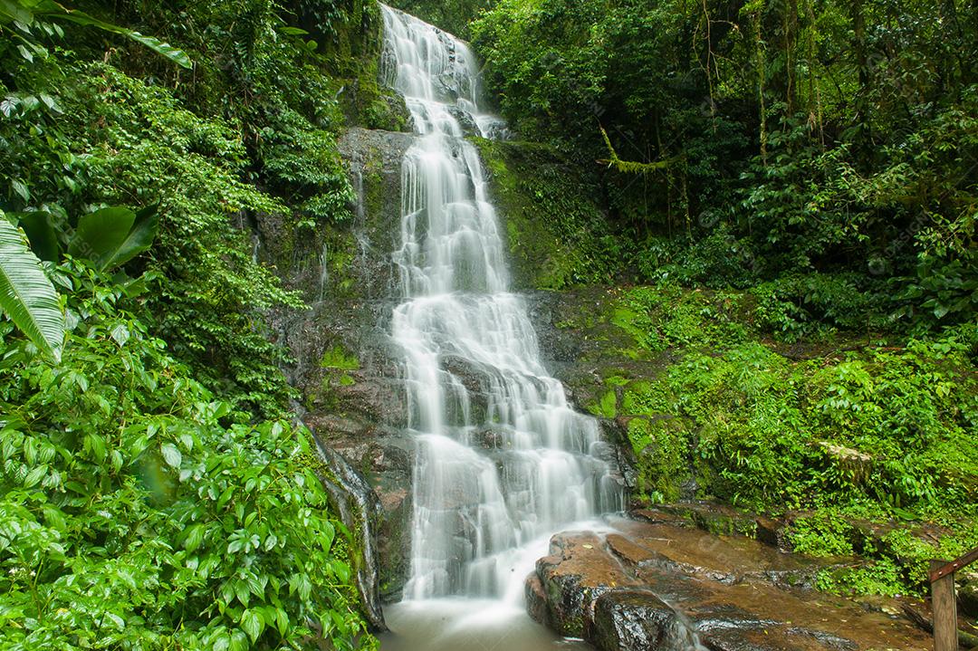 Paisagens de uma cachoeira rodeado de mata verde